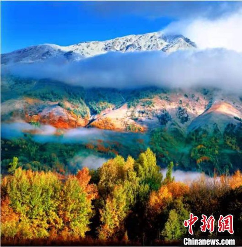 新疆旅游专列，带你穿越历史与现代